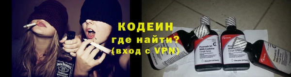 гашик Алзамай