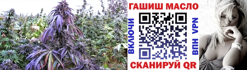 ТГК гашишное масло  магазин продажи   Наволоки 