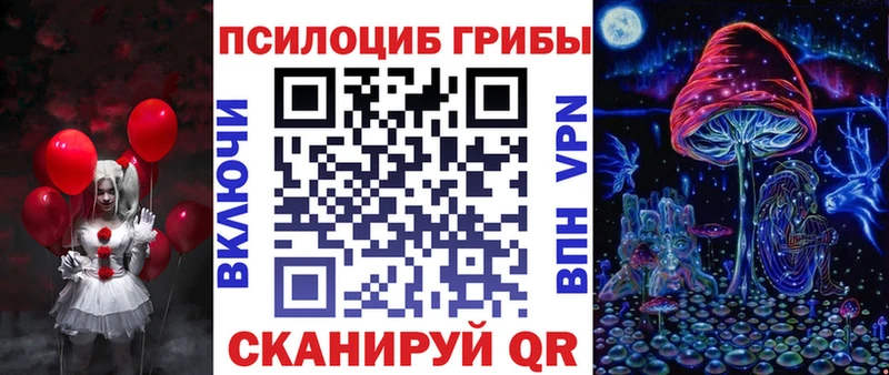 Псилоцибиновые грибы Psilocybine cubensis  Наволоки 